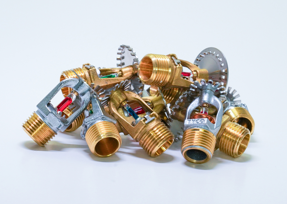 Köpfe von Springlern